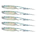 Silicone-Sardine-Soft-Fishing-Lures-5.webp