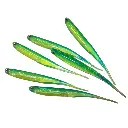 Silicone-Sardine-Soft-Fishing-Lures.webp