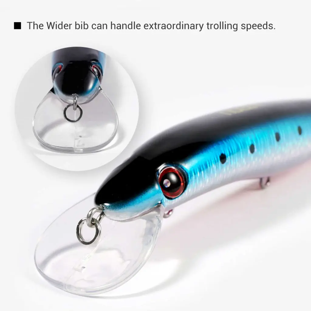 DancingMinnow-NBL-9242-1.webp