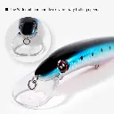 DancingMinnow-NBL-9242-1.webp