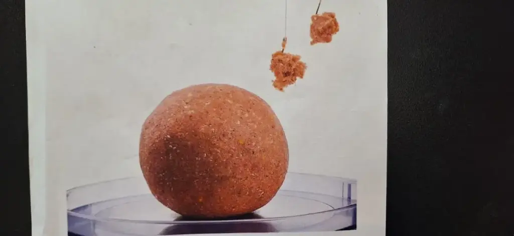 Dough King of the sea