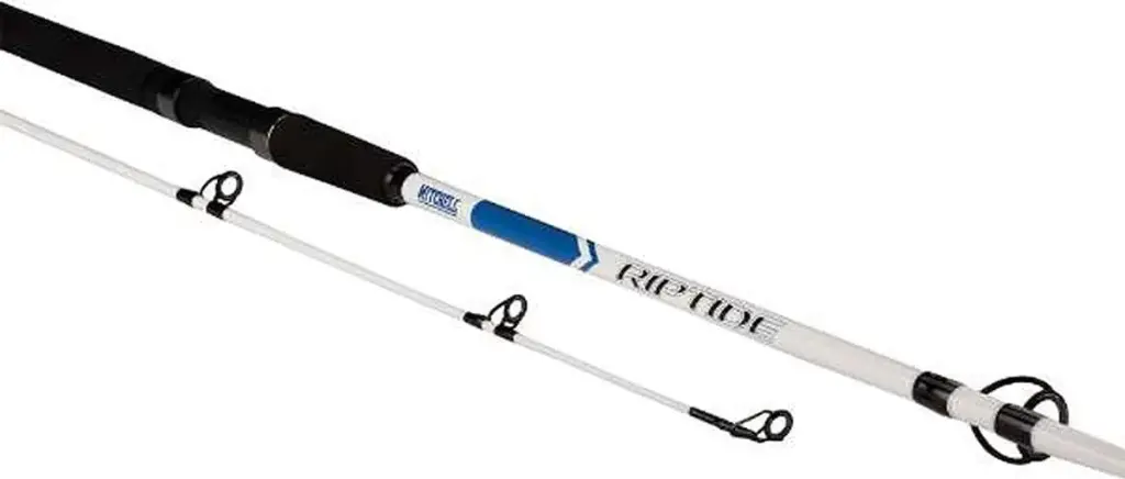 Mitchell Rod Riptide 210m 50-150gr