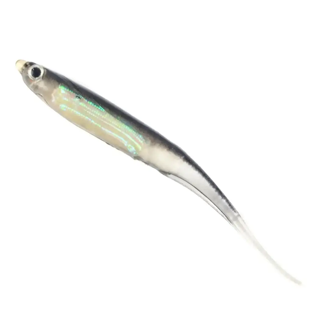 Silicone Sardine Soft Fishing Lures – Realistic Soft Bait | 5 Pieces per Pack