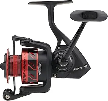 [NA] Penn Reel Fierce III 6000 