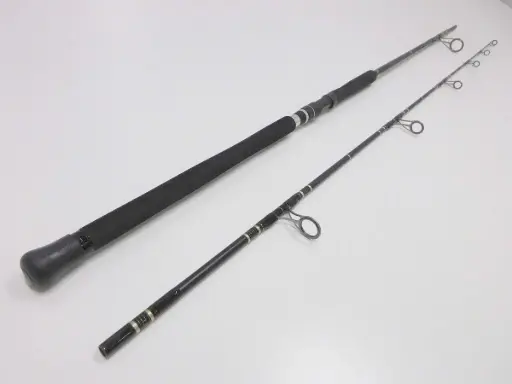 Spiral Zhan Che 1002.H – 3m Carbon Heavy Spinning Rod (15-110g)